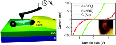 Graphical abstract: Probing the nanoscale Schottky barrier of metal/semiconductor interfaces of Pt/CdSe/Pt nanodumbbells by conductive-probe atomic force microscopy