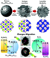 Graphical abstract: Time-dependent evolution of the Bi3.64Mo0.36O6.55/Bi2MoO6 heterostructure for enhanced photocatalytic activity via the interfacial hole migration