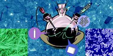 Graphical abstract: Facet-controlled facilitation of PbS nanoarchitectures by understanding nanocrystal growth
