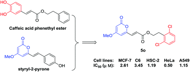 Graphical abstract: Synthesis, antitumor activity, and mechanism of action of 6-acrylic phenethyl ester-2-pyranone derivatives