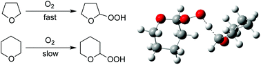 Graphical abstract: An ab initio and DFT study of the autoxidation of THF and THP