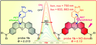 Graphical abstract: Near-infrared emission of dibenzoxanthenium and its application in the design of nitric oxide probes