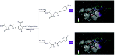 Graphical abstract: Novel carbapenem chalcone derivatives: synthesis, cytotoxicity and molecular docking studies