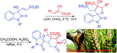 Graphical abstract: Synthesis and antifungal activities of novel polyheterocyclic spirooxindole derivatives