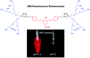 Graphical abstract: Enhancement of fluorescent properties of near-infrared dyes using clickable oligoglycerol dendrons