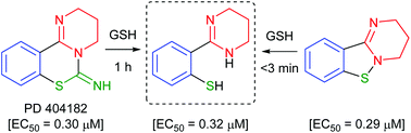 Graphical abstract: Investigations of possible prodrug structures for 2-(2-mercaptophenyl)tetrahydropyrimidines: reductive conversion from anti-HIV agents with pyrimidobenzothiazine and isothiazolopyrimidine scaffolds