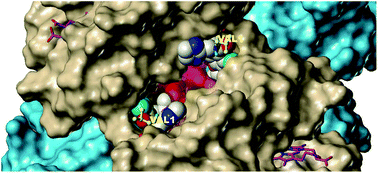 Graphical abstract: Identification of a novel class of covalent modifiers of hemoglobin as potential antisickling agents