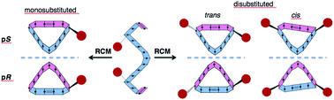 Graphical abstract: Stereogenic α-carbons determine the shape and topology of [13]-macrodilactones