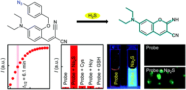 Graphical abstract: Hydrogen sulfide mediated cascade reaction forming an iminocoumarin: applications in fluorescent probe development and live-cell imaging
