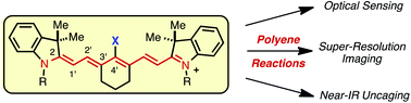 Graphical abstract: Cyanine polyene reactivity: scope and biomedical applications