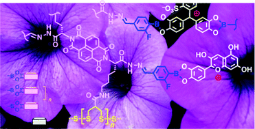Graphical abstract: Colorful surface architectures with three different types of dynamic covalent bonds: integration of anthocyanins, tritylium ions and flavins