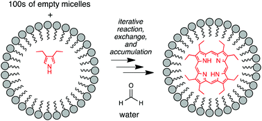 Graphical abstract: Paley's watchmaker analogy and prebiotic synthetic chemistry in surfactant assemblies. Formaldehyde scavenging by pyrroles leading to porphyrins as a case study