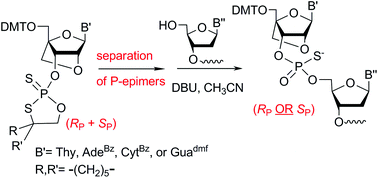 Graphical abstract: Thermal stability and conformation of antiparallel duplexes formed by P-stereodefined phosphorothioate DNA/LNA chimeric oligomers with DNA and RNA matrices