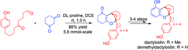 Graphical abstract: Racemic total synthesis of dactyloidin and demethyldactyloidin through the dl-proline-catalyzed Knoevenagel condensation/[4 + 2] cycloaddition cascade