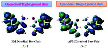 Graphical abstract: DNA bases ring-expanded with a cyclopentadiene free radical: a theoretical investigation of building blocks with diradical character