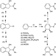 Graphical abstract: Chemoenzymatic synthesis of enantiopure hydroxy sulfoxides derived from substituted arenes