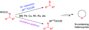 Graphical abstract: O-Acyl oximes: versatile building blocks for N-heterocycle formation in recent transition metal catalysis