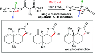 Graphical abstract: A selective C–H insertion/olefination protocol for the synthesis of α-methylene-γ-butyrolactone natural products