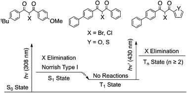 Graphical abstract: Photochemical reactions of halogenated aromatic 1,3-diketones in solution studied by steady state, one- and two-color laser flash photolyses