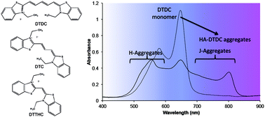 Graphical abstract: Specific excitonic interactions in the aggregates of hyaluronic acid and cyanine dyes with different lengths of methine group
