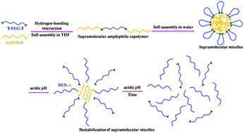 Graphical abstract: Double pH-responsive supramolecular copolymer micelles based on the complementary multiple hydrogen bonds of nucleobases and acetalated dextran for drug delivery