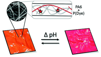 Graphical abstract: Dye immobilization in halochromic nanofibers through blend electrospinning of a dye-containing copolymer and polyamide-6