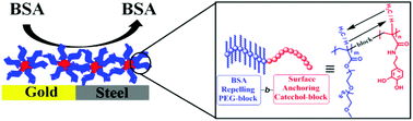 Graphical abstract: Mussel-inspired protein-repelling ambivalent block copolymers: controlled synthesis and characterization