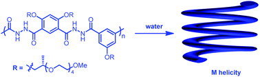 Graphical abstract: Hydrophobically driven twist sense bias of hollow helical foldamers of aromatic hydrazide polymers in water