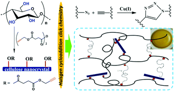 Graphical abstract: Highly alkynyl-functionalization of cellulose nanocrystals and advanced nanocomposites thereof via click chemistry