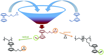 Graphical abstract: Vinyl ferrocenyl glycidyl ether: an unprotected orthogonal ferrocene monomer for anionic and radical polymerization