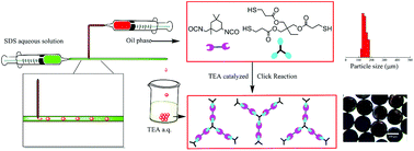 Graphical abstract: Water-borne thiol–isocyanate click chemistry in microfluidics: rapid and energy-efficient preparation of uniform particles