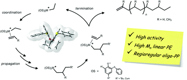Graphical abstract: Polymerization of ethylene and propylene promoted by group 4 metal complexes bearing thioetherphenolate ligands