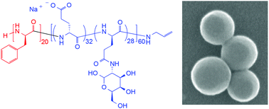Graphical abstract: Amphiphilic glycosylated block copolypeptides as macromolecular surfactants in the emulsion polymerization of styrene