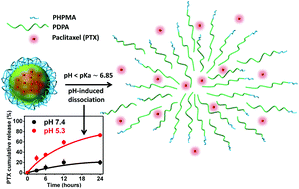 Graphical abstract: Nanoparticles of the poly([N-(2-hydroxypropyl)]methacrylamide)-b-poly[2-(diisopropylamino)ethyl methacrylate] diblock copolymer for pH-triggered release of paclitaxel