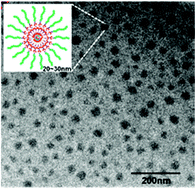 Graphical abstract: Synthesis of water soluble polyrotaxanes by end-capping polypseudo-rotaxanes of γ-CDs with PHEMA-PPO-PEO-PPO-PHEMA using ATRP of MPC