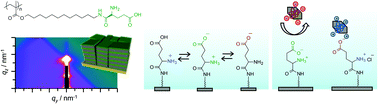 Graphical abstract: pH-Responsive and selective protein adsorption on an amino acid-based zwitterionic polymer surface