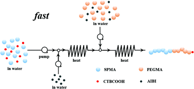 Graphical abstract: Fast RAFT aqueous polymerization in a continuous tubular reactor: consecutive synthesis of a double hydrophilic block copolymer