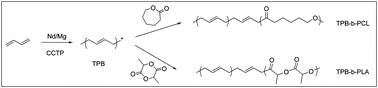 Graphical abstract: Highly trans-1,4-stereoselective coordination chain transfer polymerization of 1,3-butadiene and copolymerization with cyclic esters by a neodymium-based catalyst system