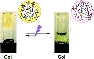 Graphical abstract: Supramolecular polymer networks based on cucurbit[8]uril host–guest interactions as aqueous photo-rheological fluids