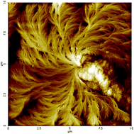 Graphical abstract: Structural and thermal properties of poly(1,4-cyclohexane dimethylene terephthalate) containing isosorbide