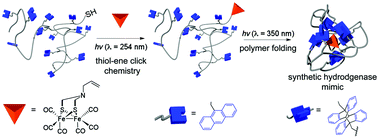 Graphical abstract: Toward a tunable synthetic [FeFe] hydrogenase mimic: single-chain nanoparticles functionalized with a single diiron cluster