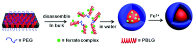 Graphical abstract: Tiny nanoparticles of organometallic polymers through the direct disassembly-assisted synthesis strategy for hydrogen peroxide sensing