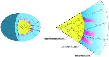 Graphical abstract: Triglycerol-based hyperbranched polyesters with an amphiphilic branched shell as novel biodegradable drug delivery systems