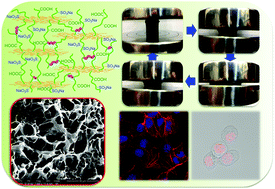 Graphical abstract: Robust, highly elastic and bioactive heparin-mimetic hydrogels