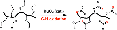 Graphical abstract: Post-polymerization modification of poly(vinyl ether)s: a Ru-catalyzed oxidative synthesis of poly(vinyl ester)s and poly(propenyl ester)s