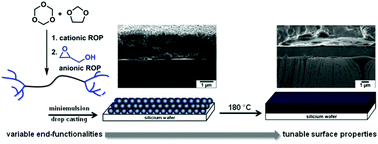 Graphical abstract: Processing and adjusting the hydrophilicity of poly(oxymethylene) (co)polymers: nanoparticle preparation and film formation