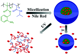 Graphical abstract: Micellar assembly of a photo- and temperature-responsive amphiphilic block copolymer for controlled release