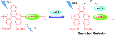 Graphical abstract: Benzo[5]helicene-based conjugated polymers: synthesis, photophysical properties, and application for the detection of nitroaromatic explosives