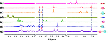 Graphical abstract: Controllable supramolecular polymerization through self-sorting of aliphatic and aromatic motifs