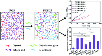 Graphical abstract: Synthesis and characterization of poly(glycerol sebacate)-based elastomeric copolyesters for tissue engineering applications